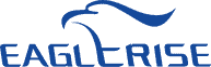 Eaglerise logo